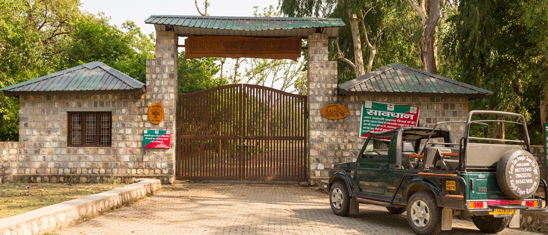 Why Is Rajaji National Park So Popular?