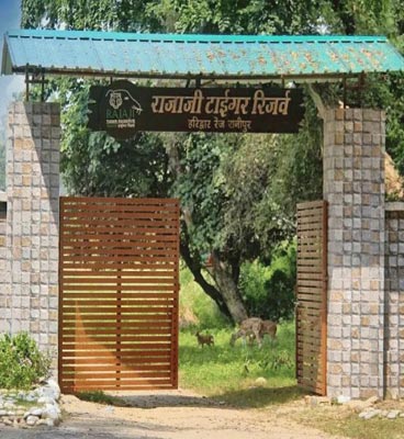 rajaji safari zone